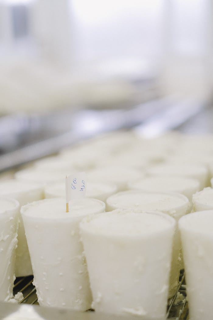 Close-up of fresh white cheese in a dairy production plant, showcasing the clean and organized setting.